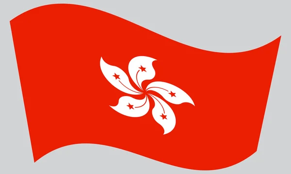 Vlag van Hongkong zwaaien op grijze achtergrond — Stockvector