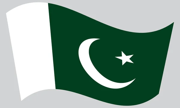 Flagga Pakistan viftande på grå bakgrund — Stock vektor
