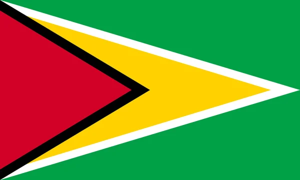 Vlag van Guyana in de juiste verhoudingen en kleuren — Stockvector