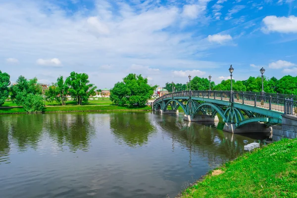 Floden och bron i sommaren park — Stockfoto