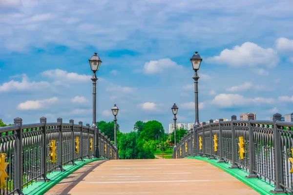 Pont dans le parc Tsaritsyno, Moscou — Photo