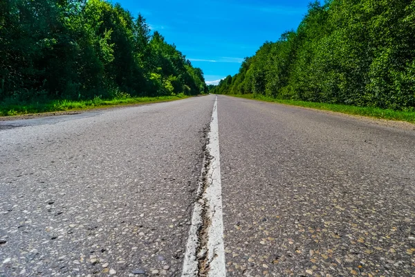 Carretera vacía con bosque verde a ambos lados —  Fotos de Stock