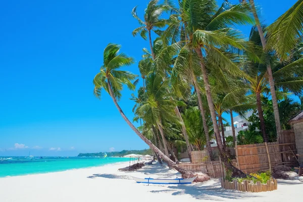 Beautiful tropical white sand beach — Stock Photo, Image