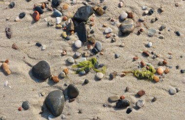 Taş ve Kum Plajı üzerinde deniz yosunu