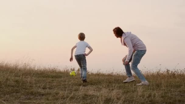 Liburan Keluarga di Alam. Ibu dan Anak Bermain Dengan Bola — Stok Video