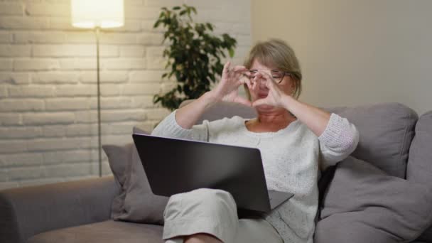 Portret van een behoorlijk middelbare vrouw die voor Laptop zit. Ze is erg blij met iemand te praten.. — Stockvideo