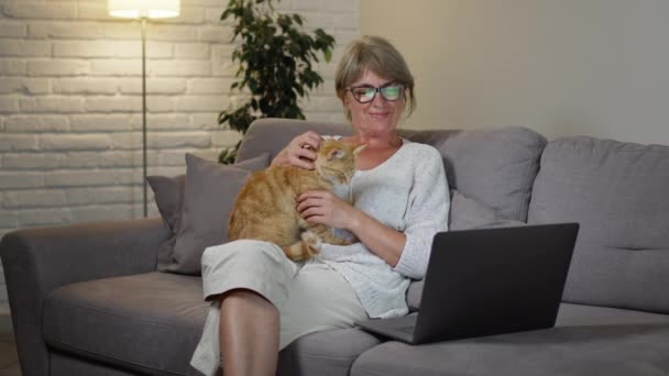 Kobieta wieczorem w mieszkaniu, odpoczywająca na laptopie. Siedzi na kanapie i głaszcze kota.. — Wideo stockowe