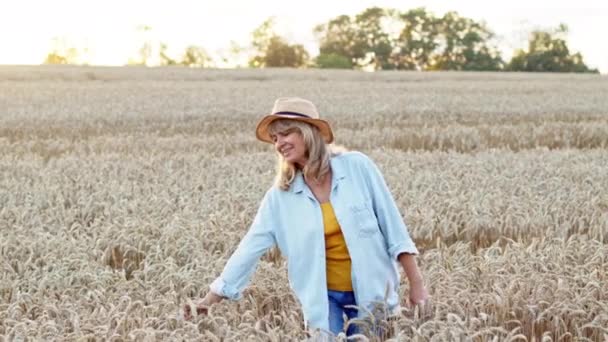 Žena v klobouku se usmívá a užívá si takové procházky. Procházka v pšeničném poli. — Stock video