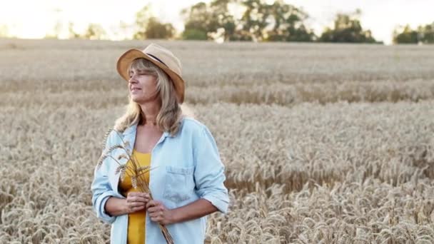 Vacker medelålders kvinna på vetefält. Kvinnan står med bukett av veteöron och leenden. Kvinnan tittar på fältet och återvänder. — Stockvideo