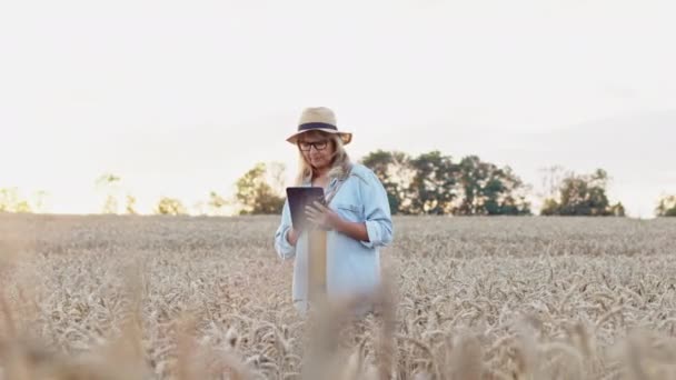Όμορφη μεσήλικη γυναίκα στο χωράφι σιταριού. Γυναίκα αγρότης ή ερευνητής στέκεται με Gadget στα χέρια. Φοράει καπέλο και γυαλιά. Στα χέρια της λίγα αυτιά σιταριού. — Αρχείο Βίντεο
