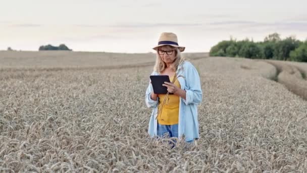 Piękna kobieta w średnim wieku na polu pszenicy. Kobieta rolnik lub naukowiec stojący z gadżetem w rękach. Ma na sobie kapelusz i okulary. W Jej rękach kilka uszu pszenicy. — Wideo stockowe