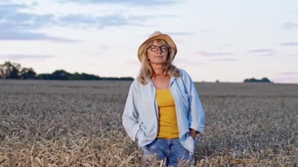 Image d'une belle femme du Moyen Âge dans le champ de blé. Belle blonde dans le chapeau et les lunettes tient ses mains dans les poches de jeans. — Video