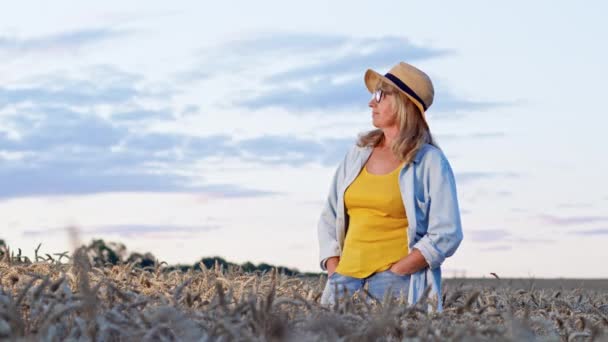 Imagen de rubia en gafas y sombrero. La mujer se para en el campo de trigo y sonríe. Ella saca sus manos de sus pantalones bolsillos y los pone en su pecho. — Vídeo de stock