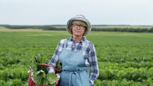 Portret van een vrouw die op het veld van bieten staat. Ze houdt een mand met bieten vast.. — Stockvideo