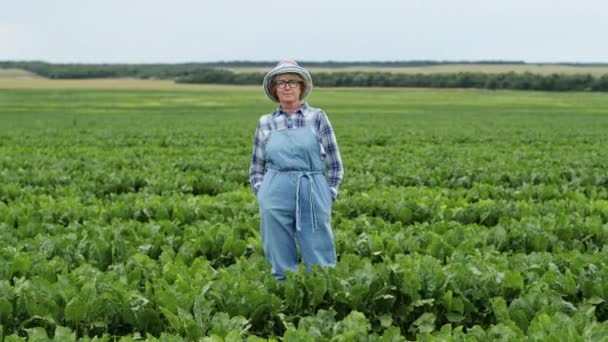 Vrouw met bril en hoed staat op het veld. Om haar heen zijn groene bietenbladeren. Ze is arbeider of boer op zoek naar haar planten. — Stockvideo