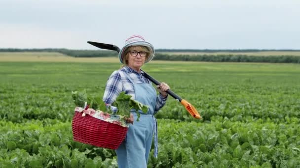 Женщина средних лет, стоящая на поле свеклы. Она держит корзину свеклы и лопату на плече. — стоковое видео