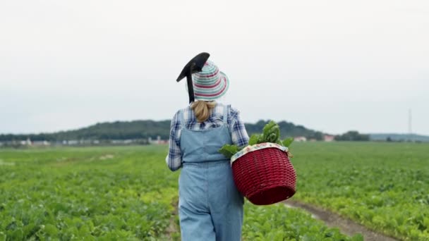 Blond mit Korb in den Händen geht mit Rüben aufs Feld. Sie hält einen Korb voller Rüben und Schaufel auf ihrer Schulter. Blick von der Rückseite. — Stockvideo