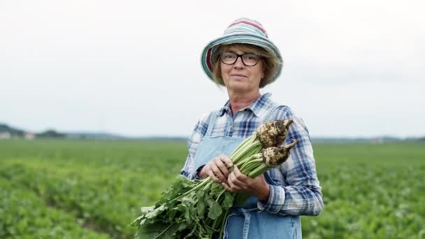 Dişi çiftçi sahada duruyor ve pancarları elinde tutuyor. Şapkalı ve gözlüklü güzel orta yaşlı kadın.. — Stok video
