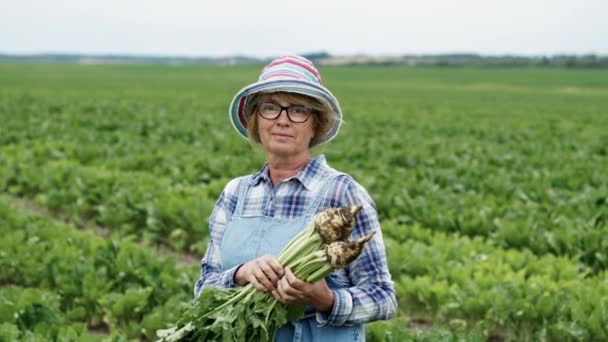 Dişi çiftçi sahada duruyor ve pancarları elinde tutuyor. Şapkalı ve gözlüklü güzel orta yaşlı kadın.. — Stok video