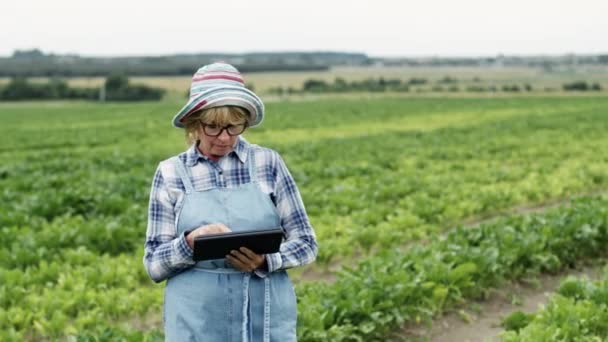 Agriculteur femelle debout au milieu du champ de betteraves avec tablette dans ses mains. Elle enregistre les résultats ou la recherche. Femme en salopette et chapeau. — Video