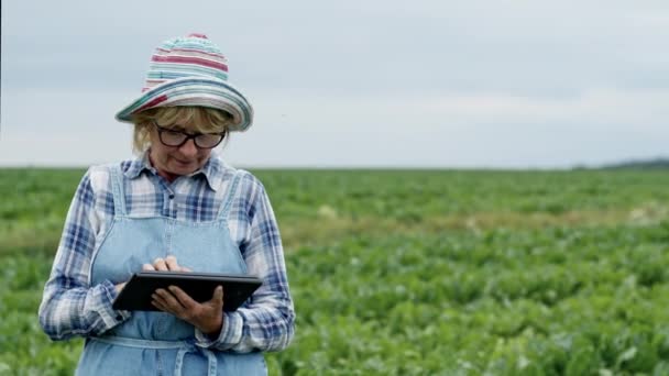 Agriculteur femelle debout au milieu du champ de betteraves avec tablette dans ses mains. Elle enregistre les résultats ou la recherche. Femme en salopette et chapeau. — Video