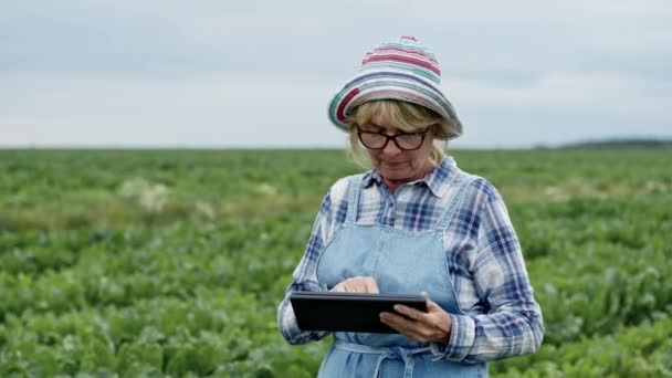 Uma agricultora a ir para o meio do campo de beterraba com uma tabuleta nas mãos. Ela registra os resultados ou pesquisa. — Vídeo de Stock
