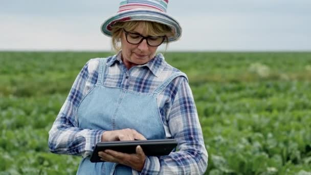 Mulher agricultora em pé no meio do campo de beterraba com Tablet em suas mãos. Ela registra os resultados ou a pesquisa. Mulher em macacões e chapéu. — Vídeo de Stock