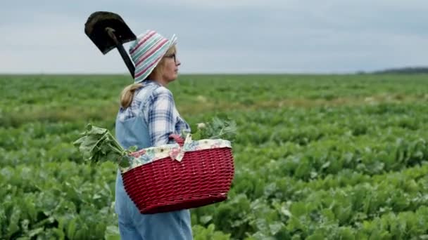 Žena s košíkem v ruce jde na pole s řepou. Žena v klobouku nese řepu s listy v koši. Ona je farmář nebo dělník. — Stock video