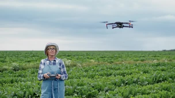 Женщина управляет дроном. Она стоит с дистанционным управлением в руках на поле из свеклы. — стоковое видео