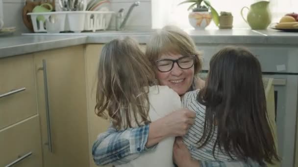 Grandmother Hugs Her Little Granddaughters. — Stock Video