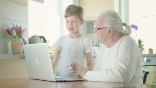 Gris-chevelu grand-mère en lunettes regarde intensément à l'écran de l'ordinateur portable. Elle est aidée par son arrière-petit-fils. — Video