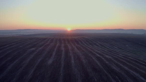 Zonsopgang op het veld. Aarde dicht. Heldere stralen verlichten de aarde — Stockvideo