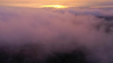 Yukarıdan Orman. Muhteşem Doğa. Ormanın Üzerinde Bulutlar. Hava Görünümü.