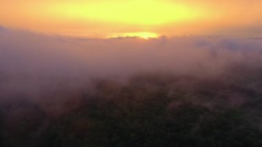 Yukarıdan Orman. Muhteşem Doğa. Ormanın Üzerinde Bulutlar. Hava Görünümü.