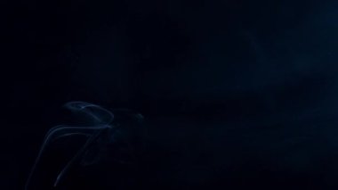 Siyah Arkaplanda Mavi Duman.