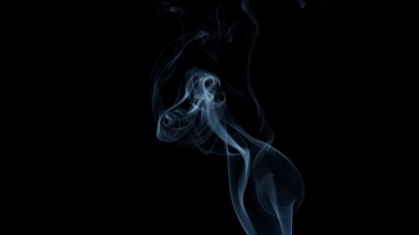Striscia di fumo su sfondo nero muovendosi verso l'alto. — Video Stock