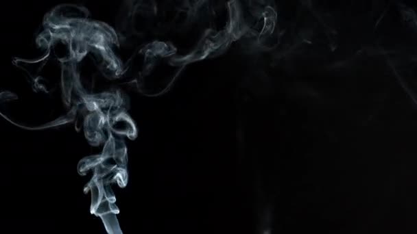 Grijze rook op zwarte achtergrond Jet stijgt op. Rookdissipaten. — Stockvideo