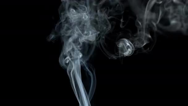 Grijze rook op zwarte achtergrond Jet stijgt op. Rookdissipaten. — Stockvideo