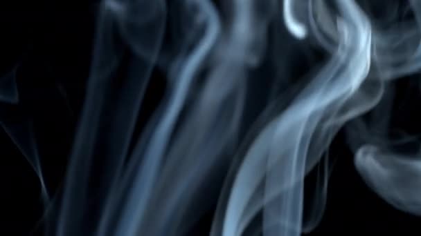 Proud kouře na černém pozadí. — Stock video