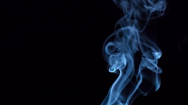 Modrý kouř na černém pozadí. — Stock video