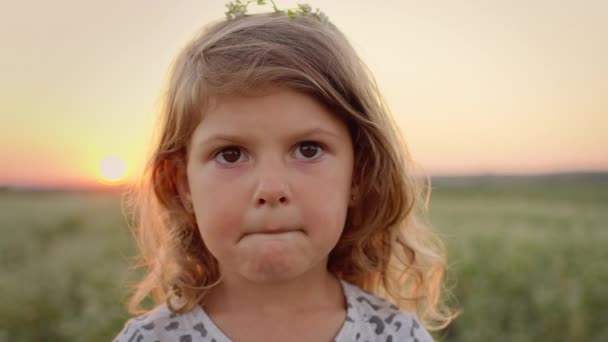 Porträtt av liten flicka på bakgrunden av himmel och fält. Snygg tjej med långt lockigt hår. Blomma i hennes hår. — Stockvideo