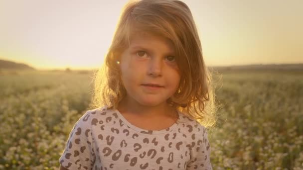 Ritratto di bambina sullo sfondo del cielo e del campo. Bella ragazza con lunghi capelli ricci. — Video Stock