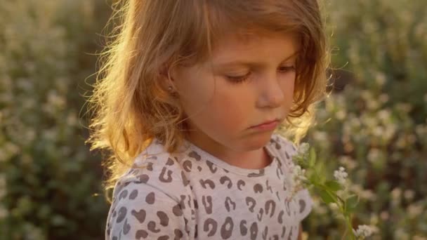 Ansiktet på den lilla flickan. Hon är på fältet. Flicka leker med blomman. — Stockvideo