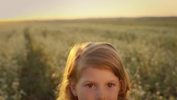 Cara de menina. Ela está no campo. Menina salta segurando as mãos para cima. — Vídeo de Stock