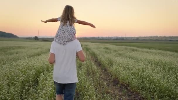 Mladý otec nosí dcerku na zádech. Chodí přes pole. — Stock video