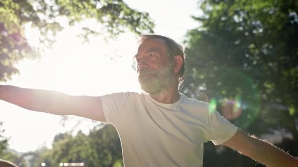 Ältere Männer und Frauen mit grauen Haaren machen Fitness im Park. Sie strecken die Arme aus. — Stockvideo