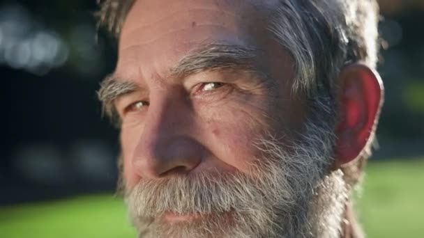 Il volto di un uomo dai capelli grigi con la barba. E 'nel parco. Sorride.. — Video Stock