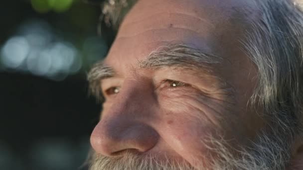 Cara de hombre de pelo gris con barba. Está en el parque. Él sonríe. — Vídeo de stock