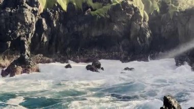 Hayat dolu tenha kıyı manzarası, yemyeşil ve çarpan okyanus dalgalarının olduğu uzak deniz manzarası.