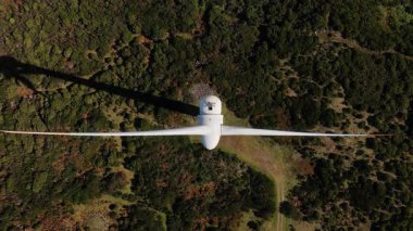 Sinematik hava görüntüleri, yoğun yeşillik rüzgâr türbini boyunca uzanan gölgeler ve güneş ışığıyla aydınlanmış kanatları olan sakin bir yabanı gösteriyor.